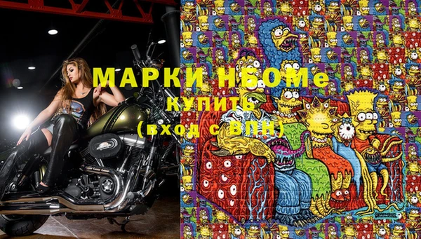 дурь Осташков
