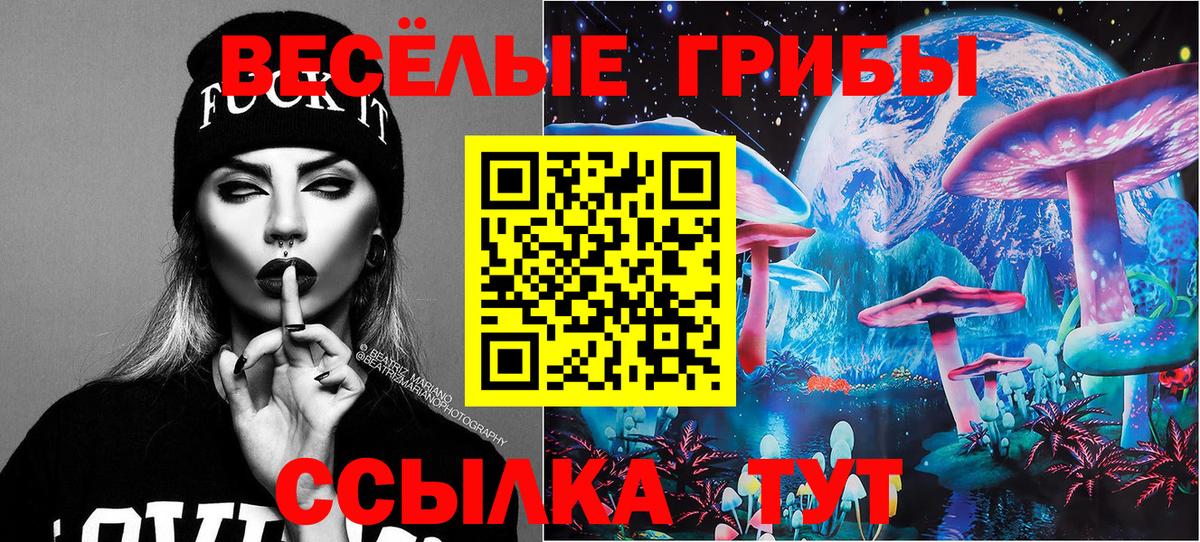 Галлюциногенные грибы Psilocybine cubensis  хочу наркоту  Серов 