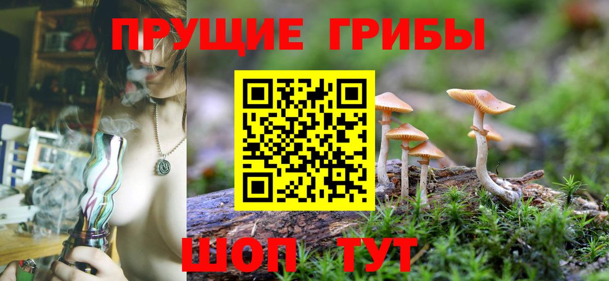 Галлюциногенные грибы GOLDEN TEACHER Серов
